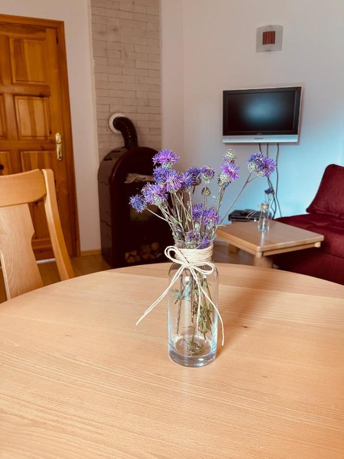 Hill Durmitor Apartman Žabljak Kültér fotó