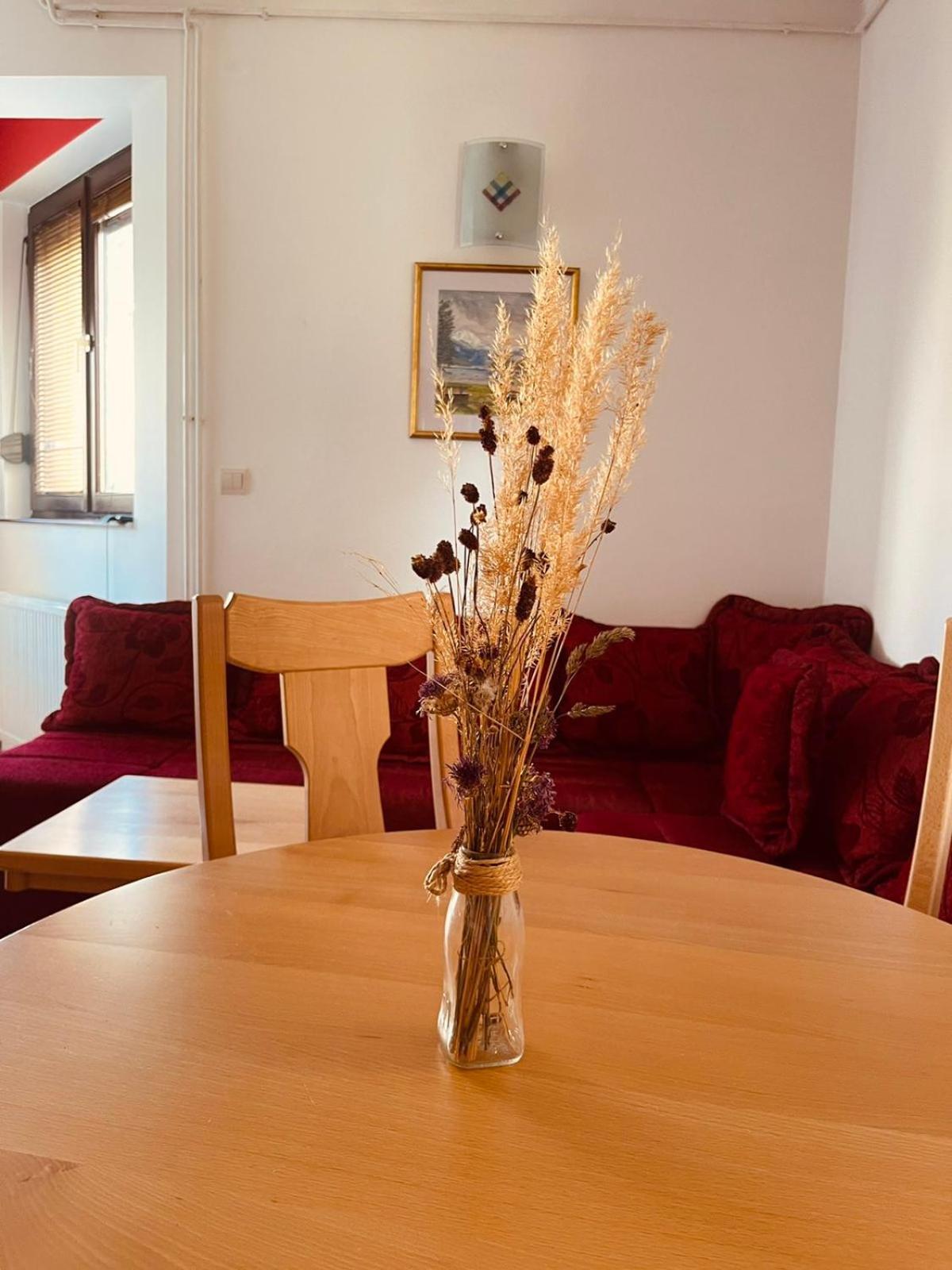 Hill Durmitor Apartman Žabljak Kültér fotó